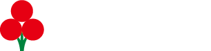 사랑의열매